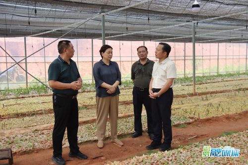 王敏求到大荆镇调研林下经济发展情况